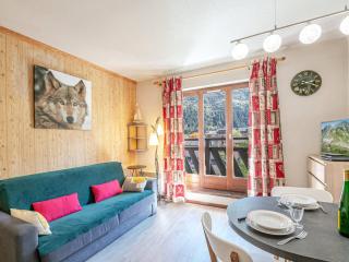 Chamonix : Studio charmant, balcon vue Mont-Blanc, parking, wifi, animaux acceptés - FR-1-343-221 - 0