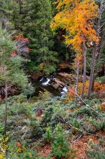Remote Impressive Modern Tower Incredible for a Glamping Experience in Epworth, Georgia - 4