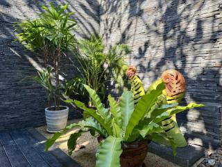 Luxury Pool Villa Resort Style Near Laguna Area - 8