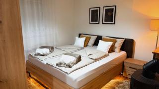 Royal Vila Negotin - Private Parking, Garden and Terrace - 1