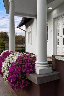 Royal Vila Negotin - Private Parking, Garden and Terrace - 7