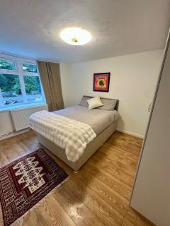 Spacious apartment in Leigh woods - 6