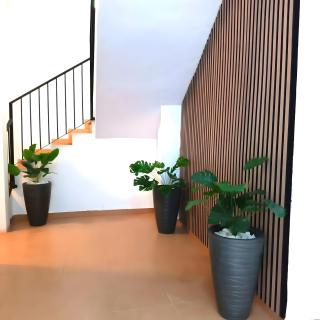 Apartamentos Calle Nueva - 6