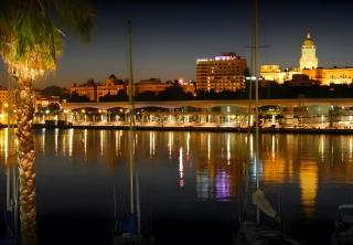 Apartamentos Calle Nueva - 5