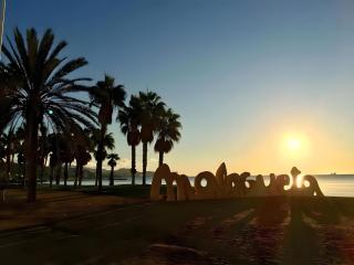 Apartamentos Calle Nueva - 4