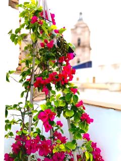 Apartamentos Calle Nueva - 7