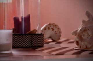 The Bright Beauty - 0