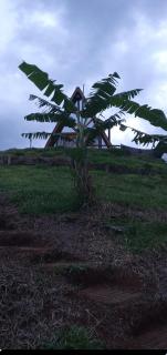 Chalé Cachoeira do Túnel- Linda vista da Serra da Mantiqueira - 5
