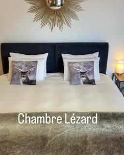 Le Lézard et la Grenouille BnB - 0