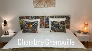 Le Lézard et la Grenouille BnB - 3