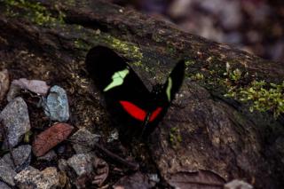 Herencia Colonial Glamping - 8