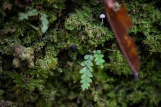 Herencia Colonial Glamping - 7