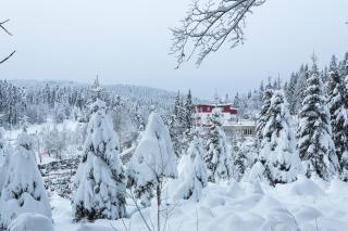 Das Waldhotel - Gästehaus - 9