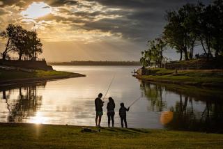 Lo de Lo- cabaña descanso - 2