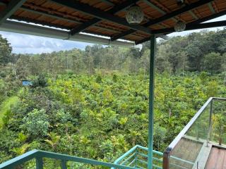 Estate stay near Dubare elephant camp, friendly for remote workers - 5