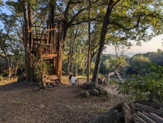 えころっじKitsuki - 9