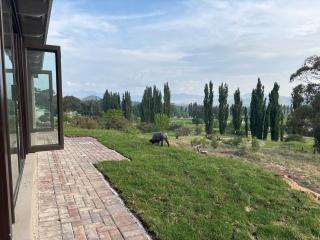 105 Clarens Golf Villa - 7