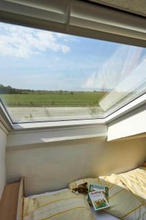 Traberhof - Landurlaub in seiner schönsten Form - freies Reiten inbegriffen - Hunde willkommen - Sauna im Haus - Kanuverleih - tolle Radwege - Deich in Sichtweite - 1