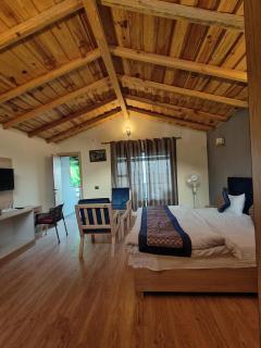 Woodpecker nest by lake & woods - 8