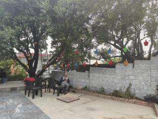 Woodpecker nest by lake & woods - 4