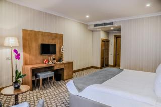 Adisson Palace Hotel - 4