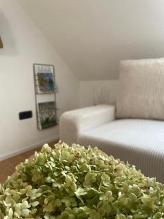 All Homes Apartments - 4