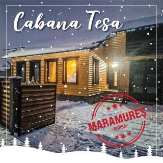 Cabana Tesa Borșa MM - 4
