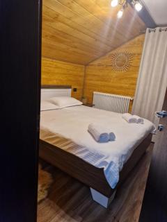 Cabana Tesa Borșa MM - 9