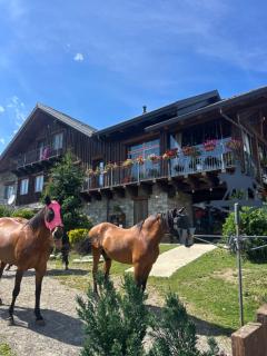 Alba di Montanaria - Brosso - 5