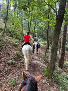 Alba di Montanaria - Brosso - 7