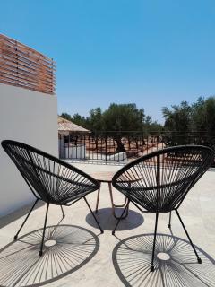 Sunsets and Olive Trees - 7