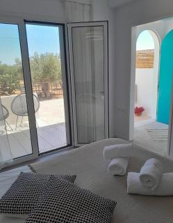 Sunsets and Olive Trees - 5