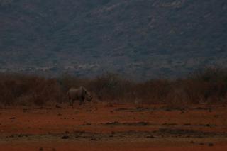 Tausa Tsavo Eco Lodge - 8