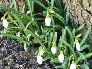 Meeresfeeling in Horumersiel - 5