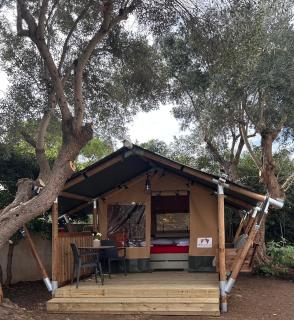 Residence Sunbeam - 8