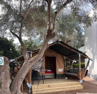 Residence Sunbeam - 7