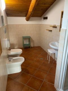 Antico Palmento - Campagna - 5