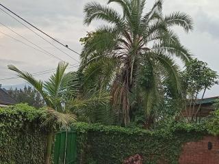 Sabyinyo Landscape resort - 5