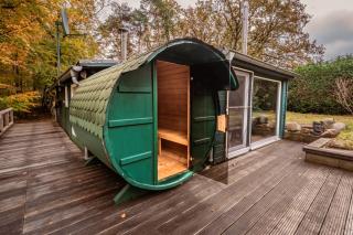 Pure Wald-Energie vor den Toren Hamburgs - 8