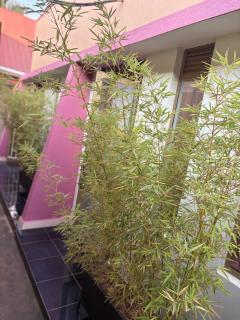 White Ash Studios Komamboga - 8