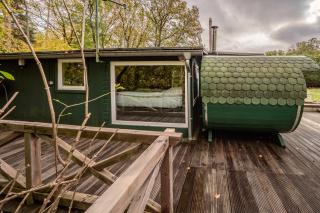 Pure Wald-Energie vor den Toren Hamburgs - 2