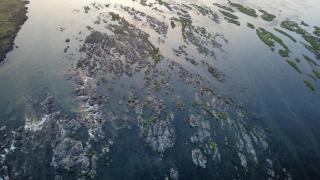 Narmada Homestay - 2