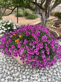 4 Seasons Suites Paradise Athens Airport 2 - 3