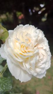 Le Gite Ecureuil - 1