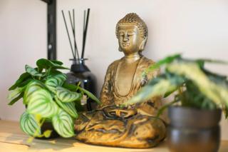 Le Terrazza - 1P à 2P Terrasse - Henriville - Amiens - 8