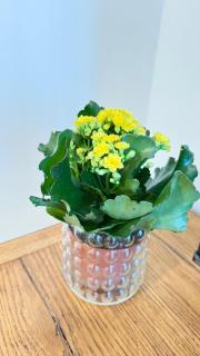 Porto vecchio Sanremo - 5