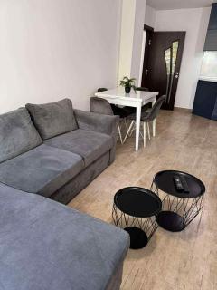 Modern 1BR Apartment City Center - 6