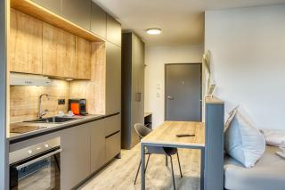 Sattler Living Apartments - Ebbs - 8