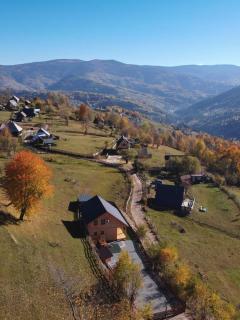 Cabana de sub mesteceni - 3