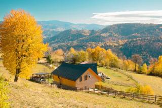 Cabana de sub mesteceni - 3